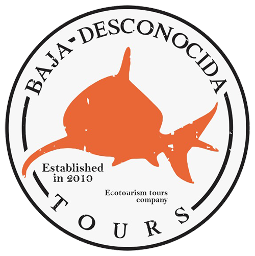 BAJA DESCONOCIDA